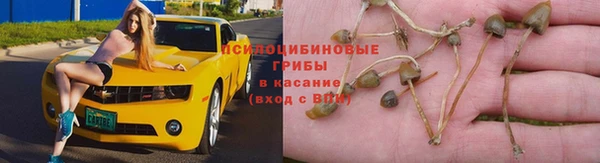 прущая мука Заводоуковск