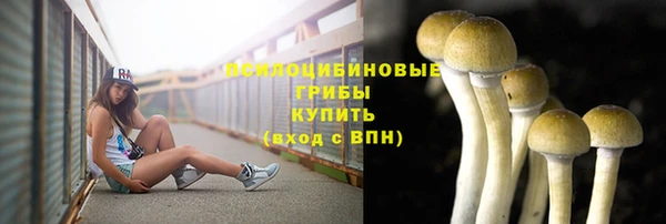 метадон Заволжье