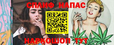 гашик Ливны