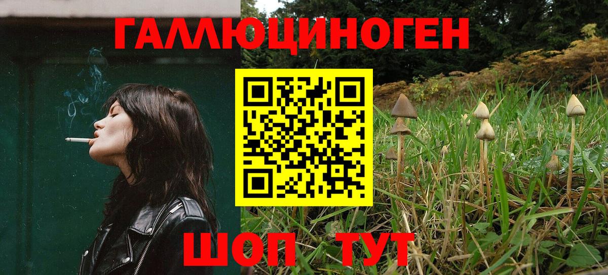 Меф кристаллы  ГАШ  Зерноград  Вход с VPN  ГАШ  Конопля 