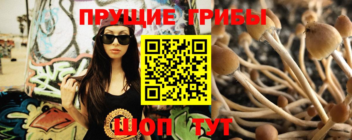 Псилоцибиновые грибы мухоморы  Вход с VPN  Галлюциногенные грибы мухоморы  Зерноград 