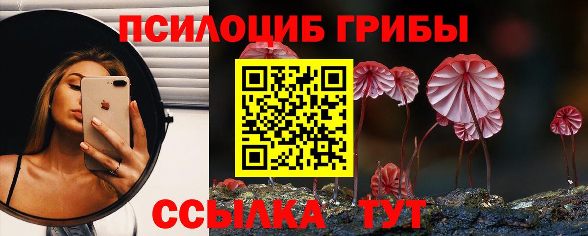 Галлюциногенные грибы Psilocybine cubensis Зерноград