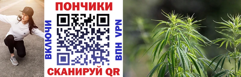 Конопля VHQ  купить наркотики сайты  Зерноград 