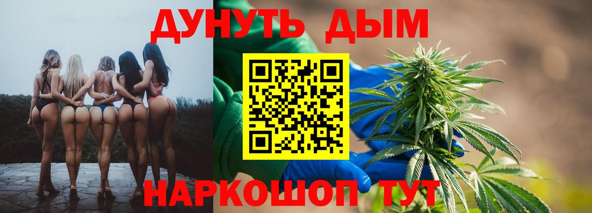 Бошки Шишки семена  Вход с VPN  Зерноград  Бошки Шишки индика  Конопля гибрид 